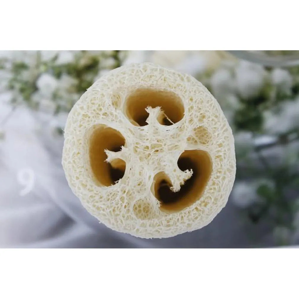 6 Organic Loofahs / Natural Sponges. Better for your Body and the Earth