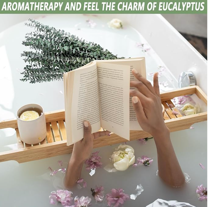 12 Pcs Eucalyptus stems for Shower Enhancement