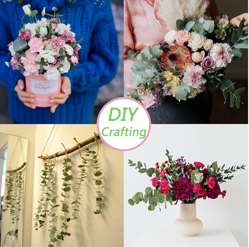 12 Pcs Eucalyptus stems for Shower Enhancement