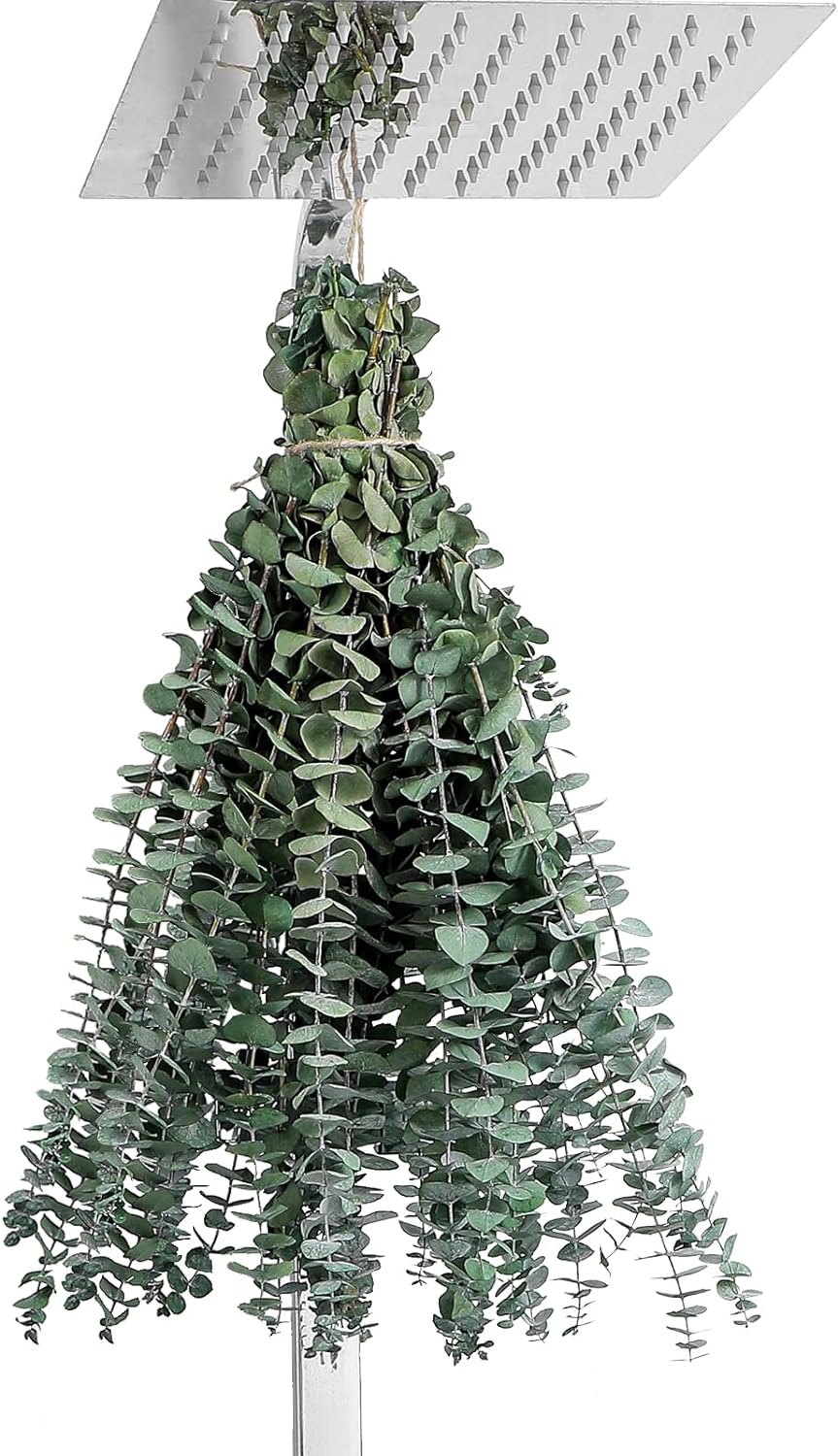 12 Pcs Eucalyptus stems for Shower Enhancement