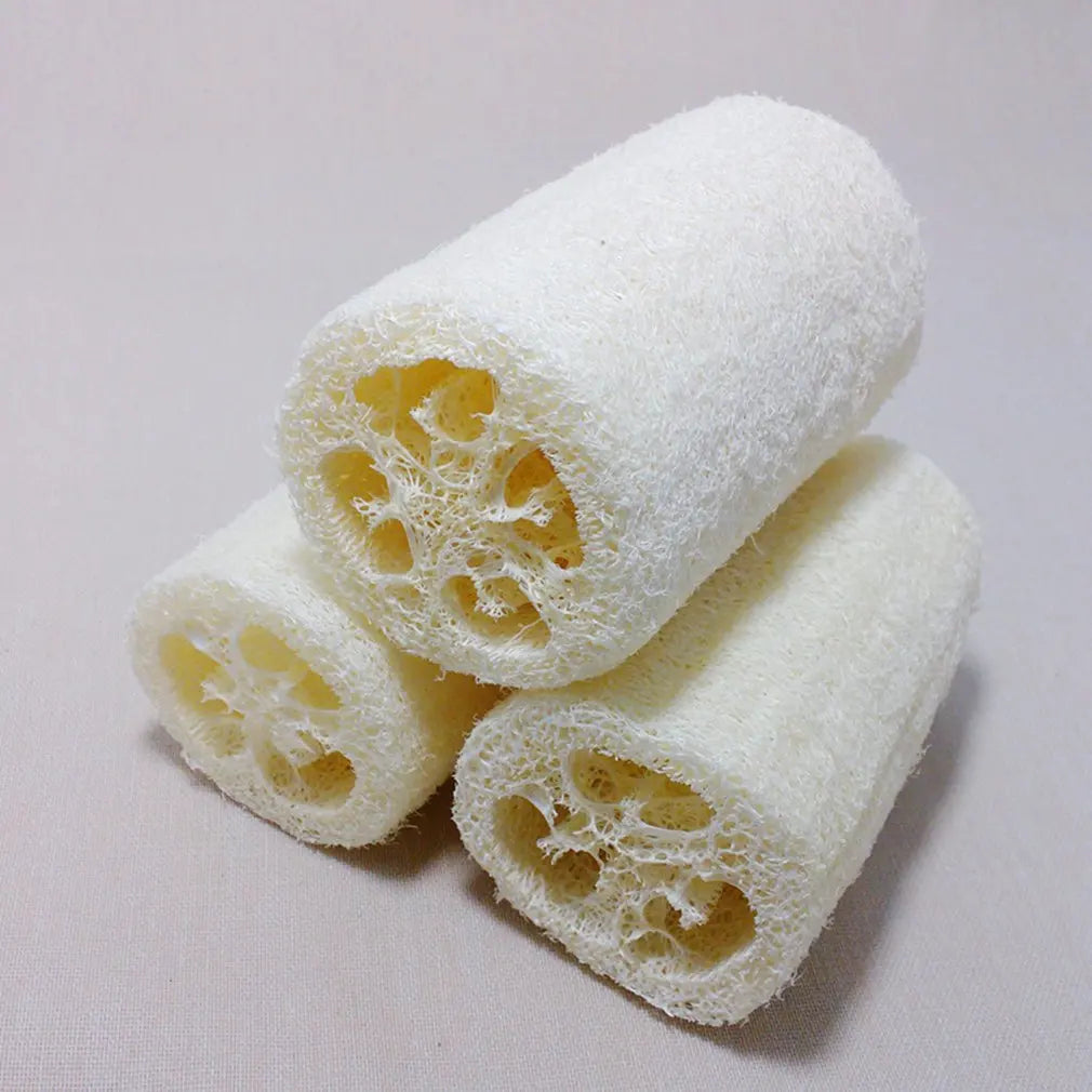 6 Organic Loofahs / Natural Sponges. Better for your Body and the Earth